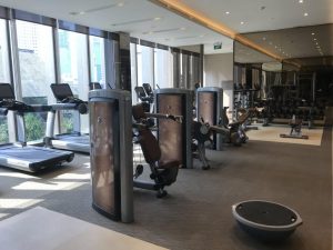 Gym-of-Anandamaya-Residences Gym-of-Anandamaya-Residences